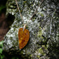 Baltic Amber Claw Necklace #002