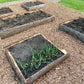 Raised Garden Beds • Homestead-Style