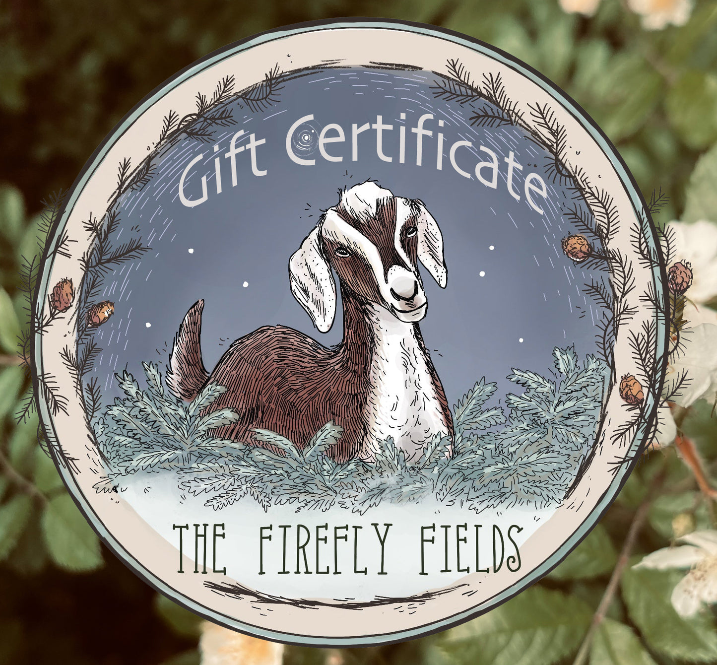 Gift Certificate